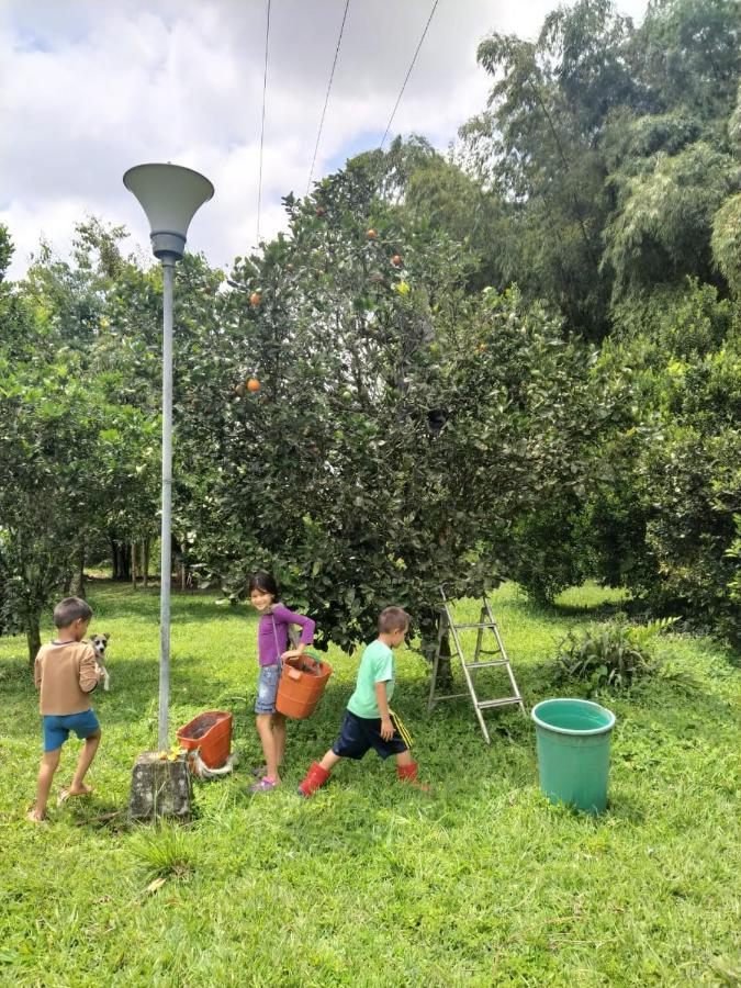 La Acuarela, Posada De La Monita Pereira Eksteriør billede