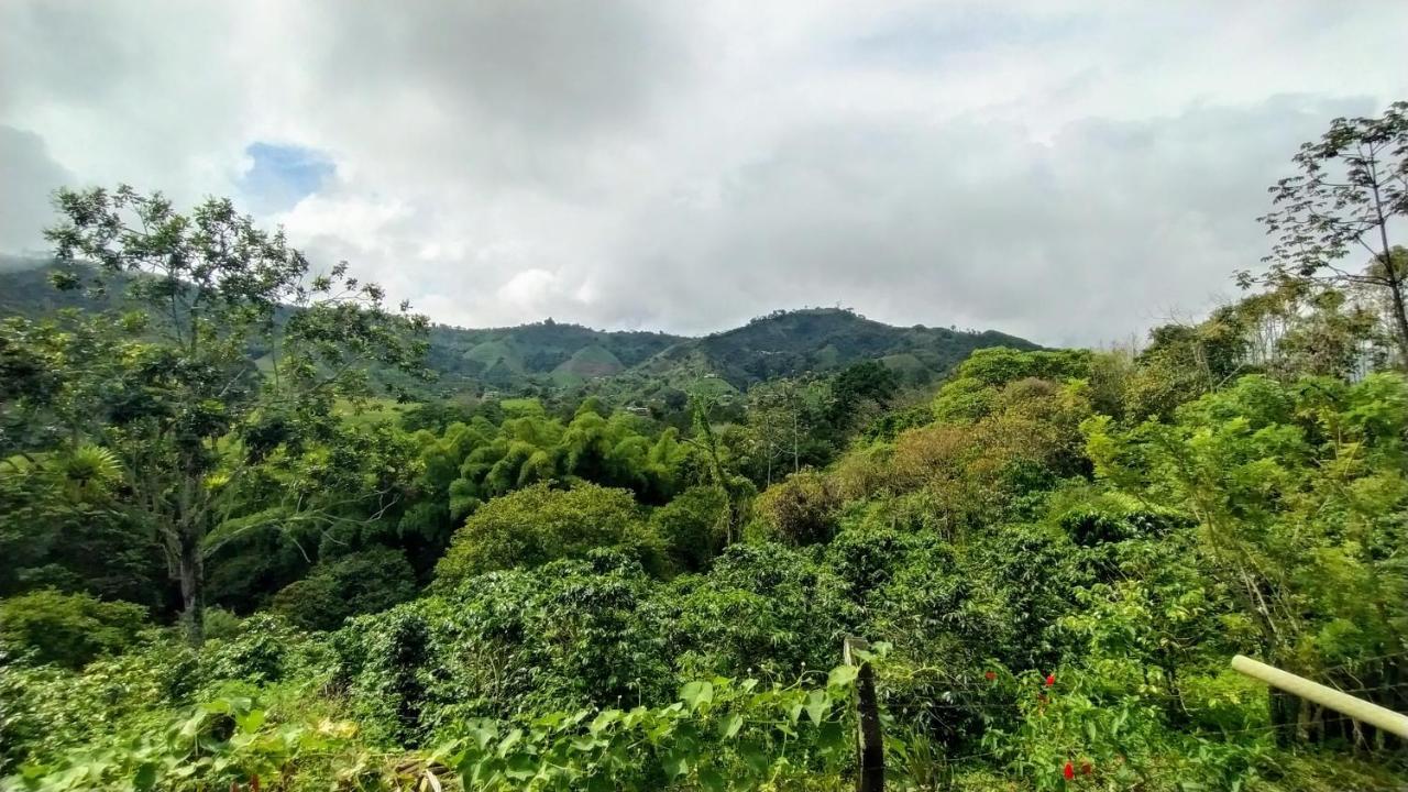 La Acuarela, Posada De La Monita Pereira Eksteriør billede